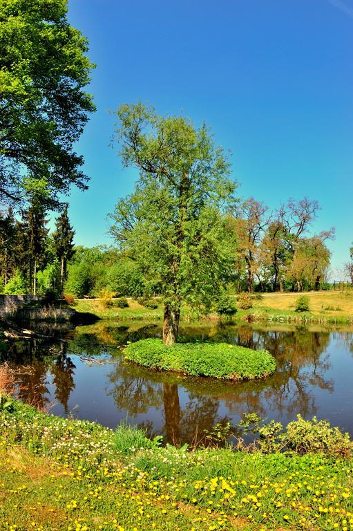 Palac Jablonowo Ujście Exterior foto